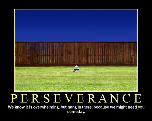 Perseverance